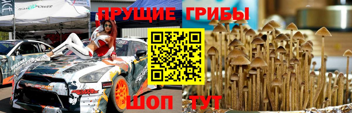 Псилоцибиновые грибы ЛСД Коркино