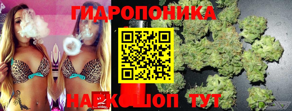 Бошки марихуана гибрид  Вход с VPN  Шишки марихуана White Widow  Коркино  Марихуана тримм 